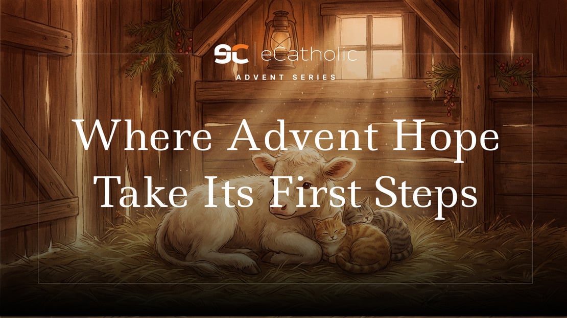 Preparing the Way for Christ: An Advent Series (Part III)