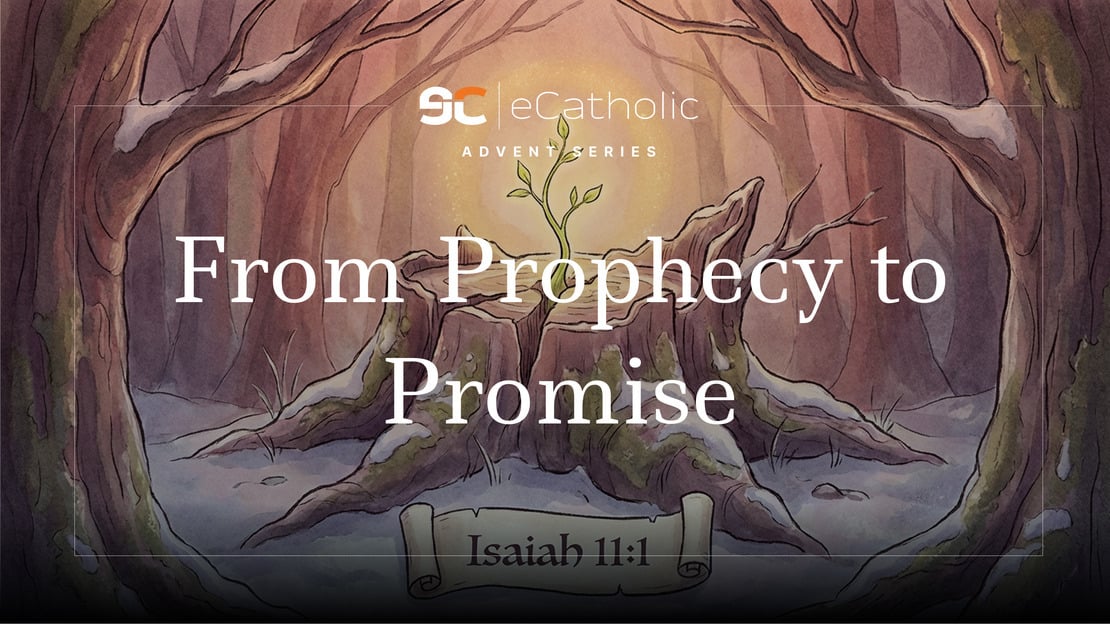 Preparing the Way for Christ: An Advent Series (Part II)