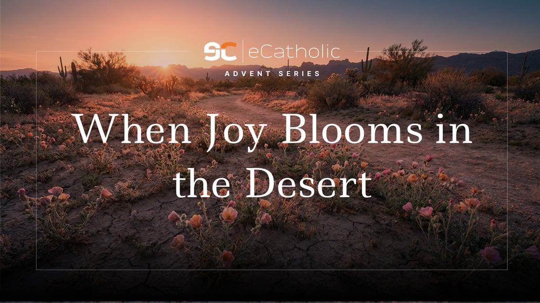 Preparing the Way for Christ: An Advent Series (IV)