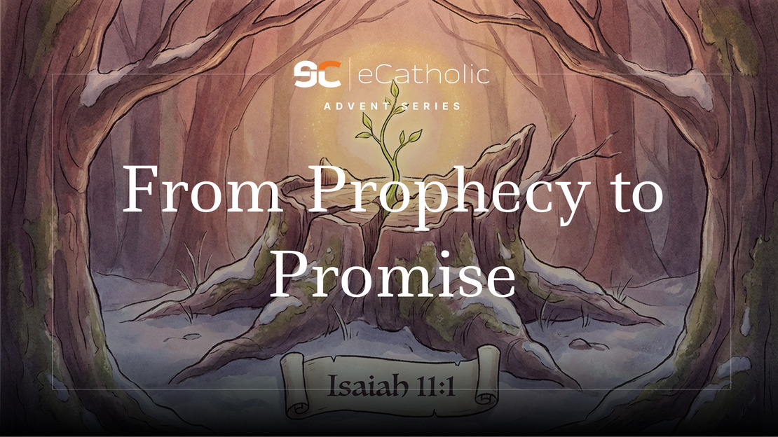 Preparing the Way for Christ: An Advent Series (Part II)