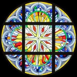 Update Your Information