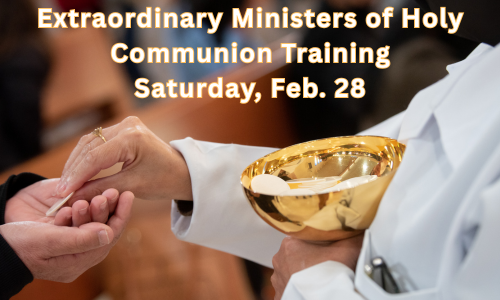 Extraordinary Ministers of Holy Communion Training