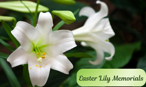 Easter Lily Memorials