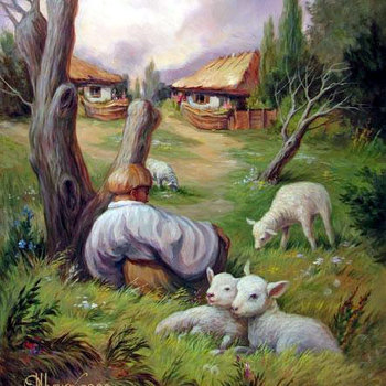 Illusions
