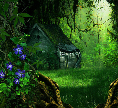 Cabin