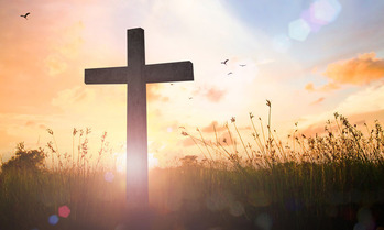 Letter from the Pastor