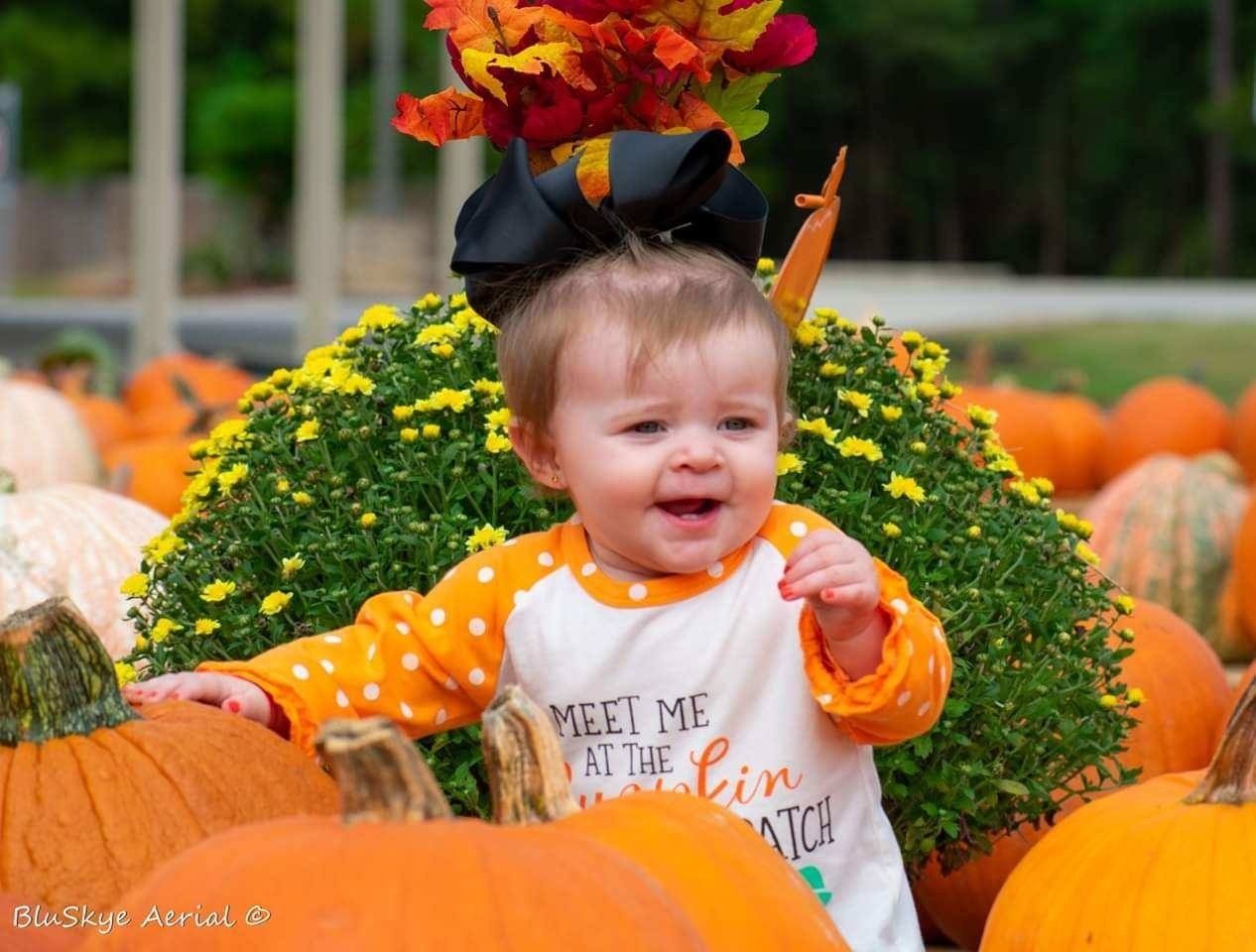 Our Annual Pumpkin Patch
