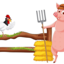 Pig Chickin’ Pickin’