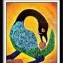 Sankoa Concert Series