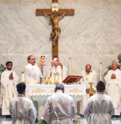 Parish Update: July 15, 2025