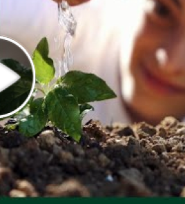 Parish Update: September 3, 2025