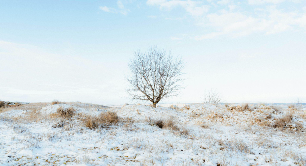 6 pm Contemporary Worship