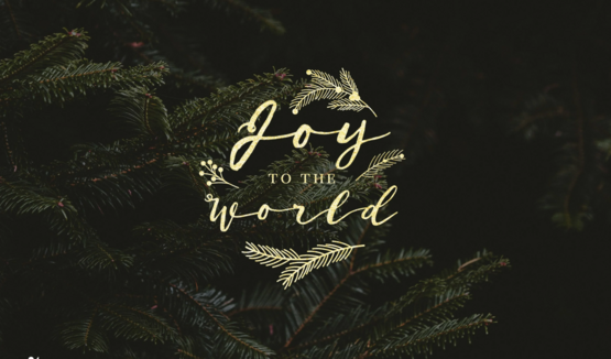 Christmas & New Year Mass Schedule