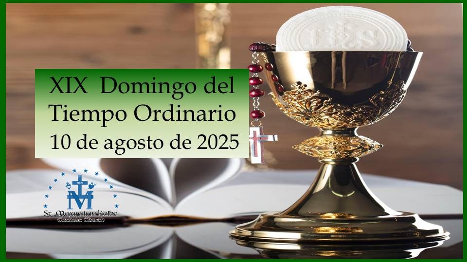 XIX Domingo del TIempo Ordinario 