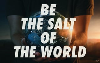 The Christian Identity: Flavoring and Lighting the World