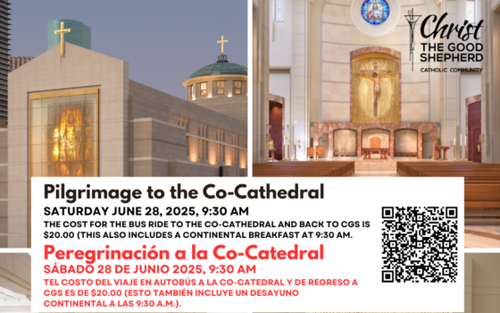 Peregrinaje al Co-Cateddral