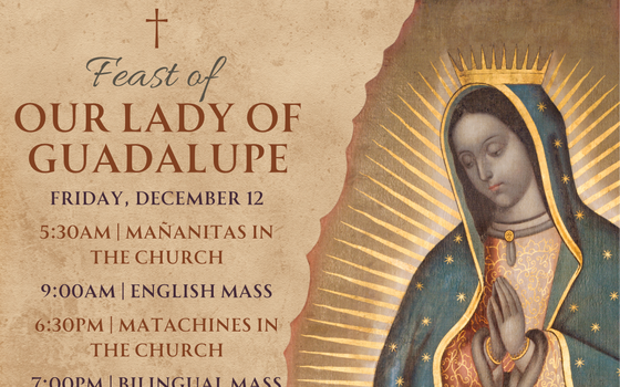 Our Lady of Guadalupe Celebration