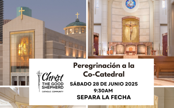 Pilgrimage to the Co-Cathedral