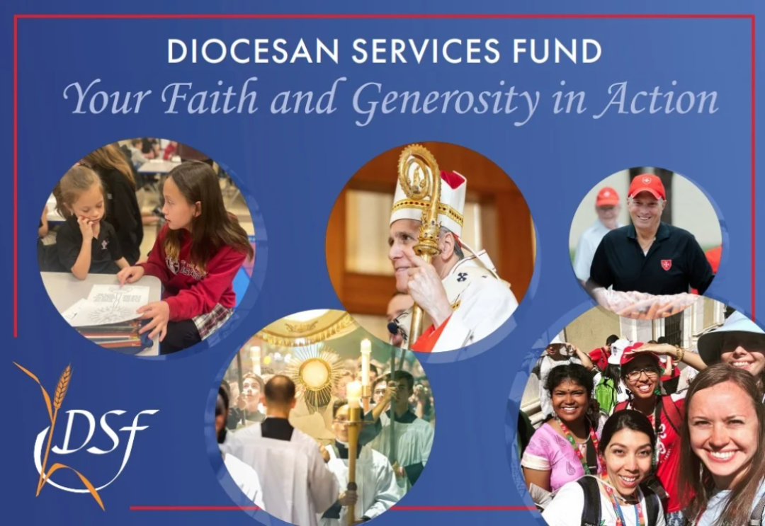 To Donate, Click the Image Above!