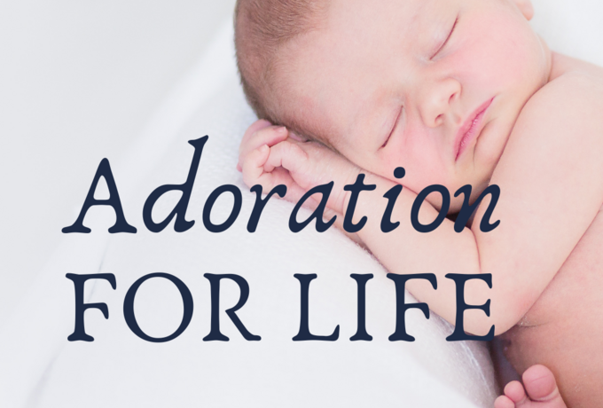 Adoration for Life
