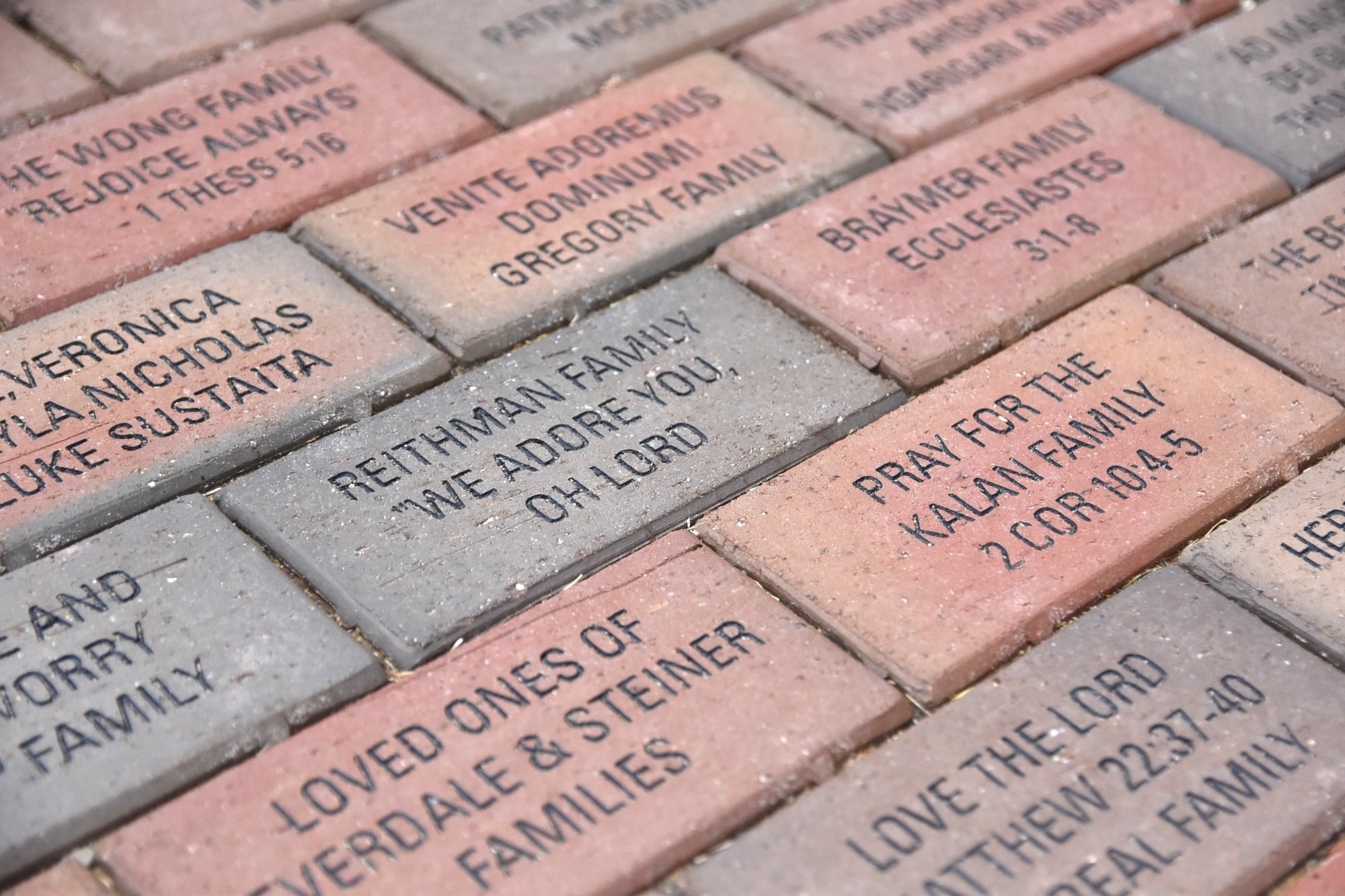 Pave the Way of the Cross