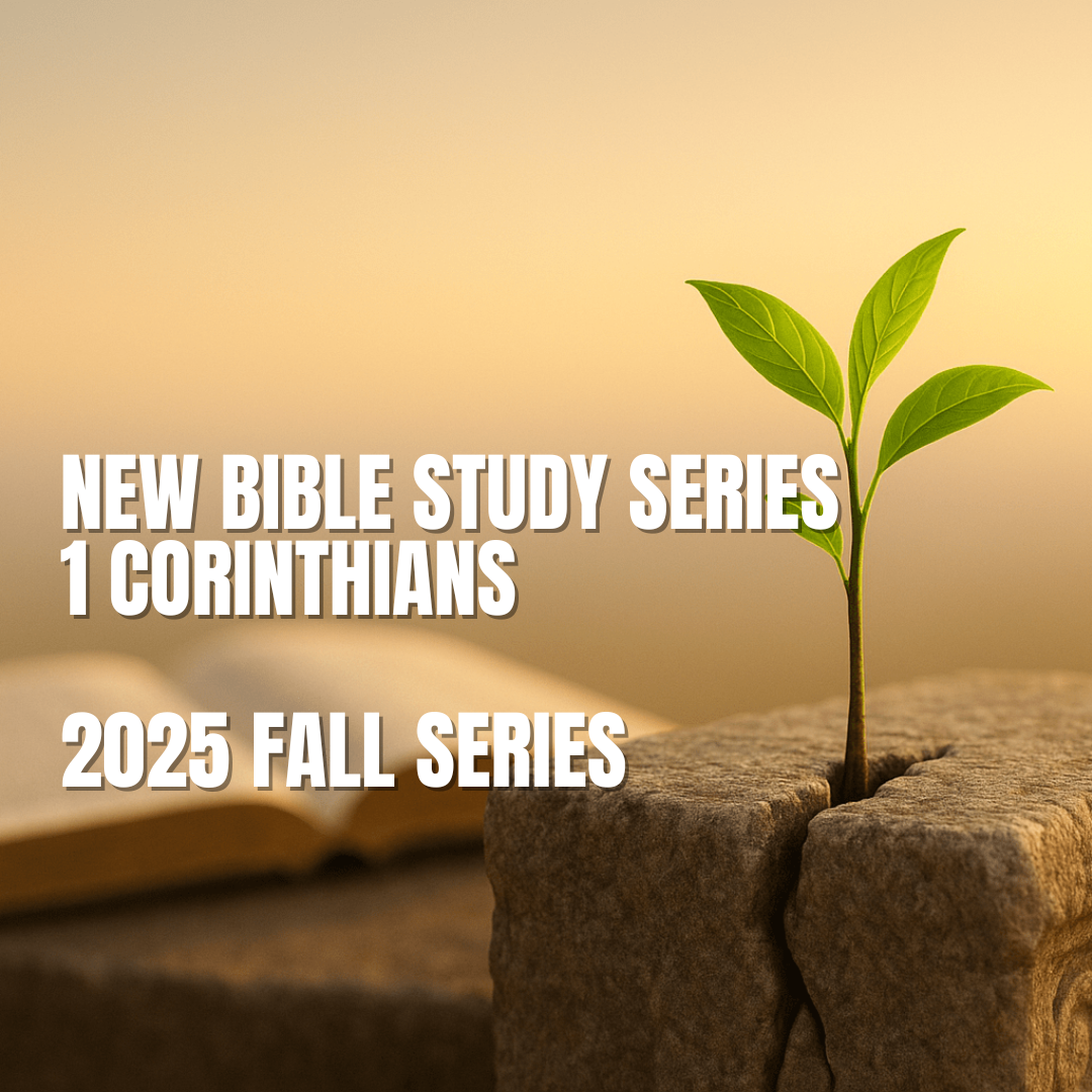 https://www.lasaletteretreatcenter.org/biblestudy