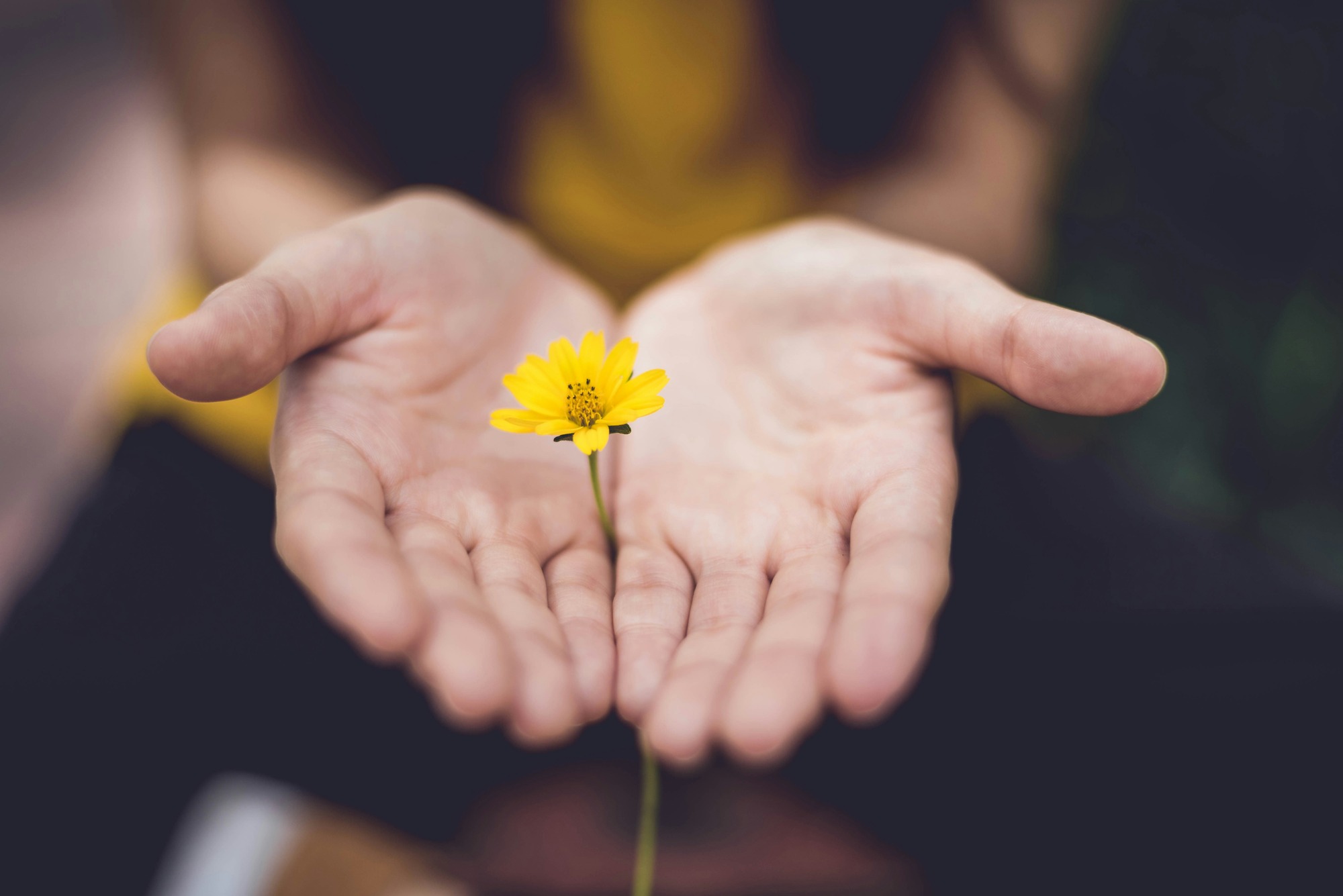 Charity Seed (A Cup of Water for The Poor)