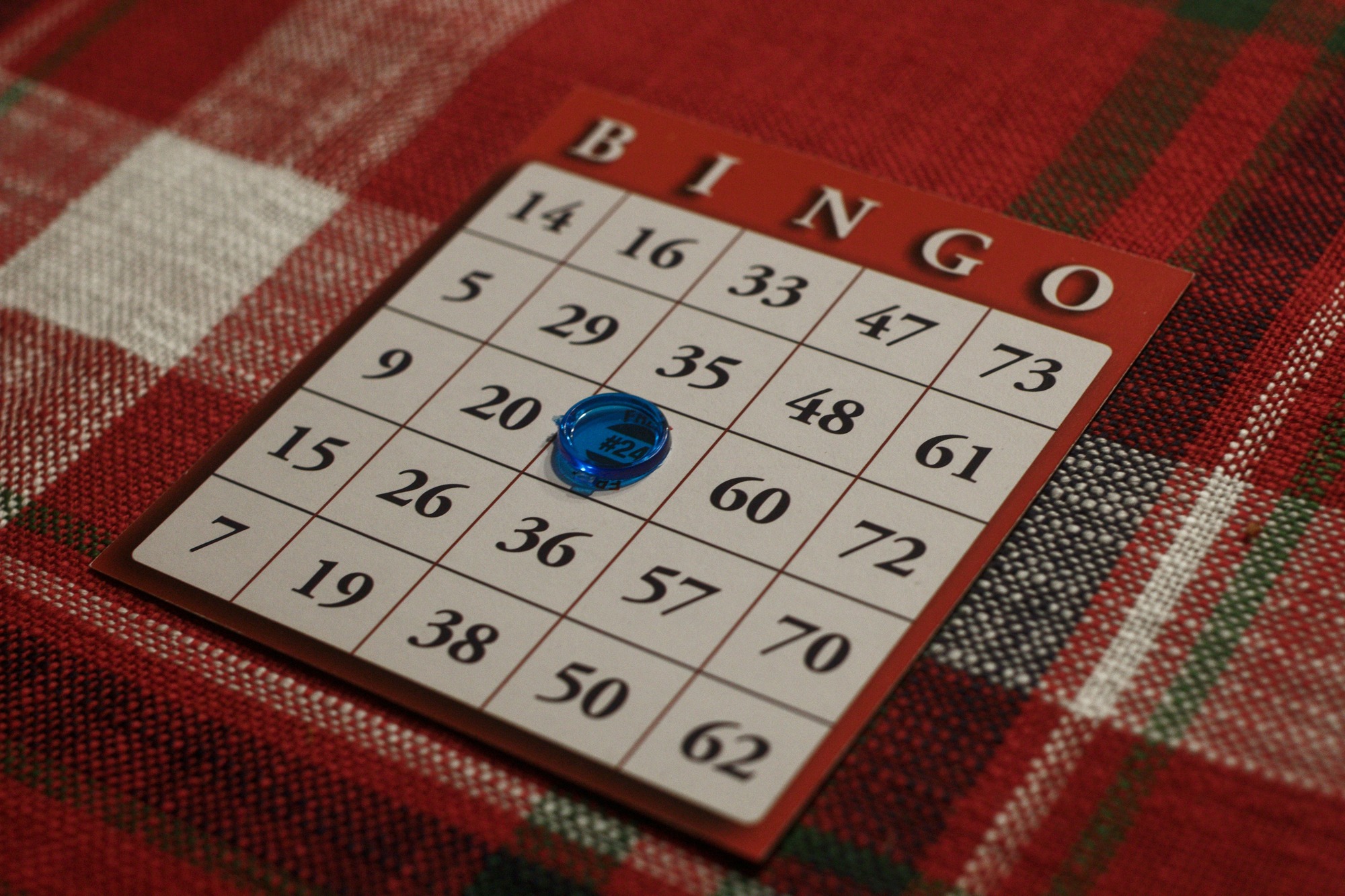 Bingo & Loteria