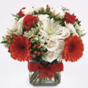 Christmas Flowers