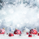 A Holiday Message From Bishop Peter Baldacchino