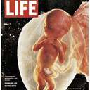 A Pro-Life Rapsody