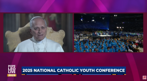 Pope Leo speaks to the American youth