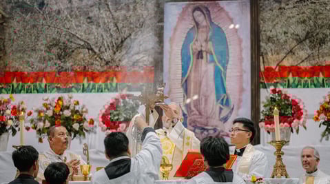 Pastoral Reflection – Our Lady of Guadalupe, the Mother Who Sustains Us