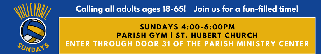 Adult Volleyball Ages 18-65 