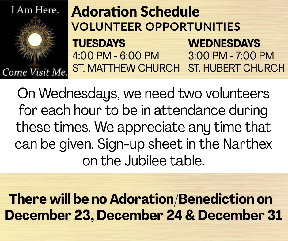 Adoration Volunteer Opportunities