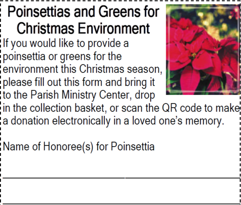 Donate Christmas Flowers for the Christmas Environment