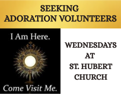 Adoration Volunteers