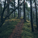 Walk It Out (God's Plan, Part 2)