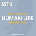 9 Days for Life