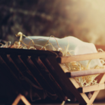 Festival of the Nativities