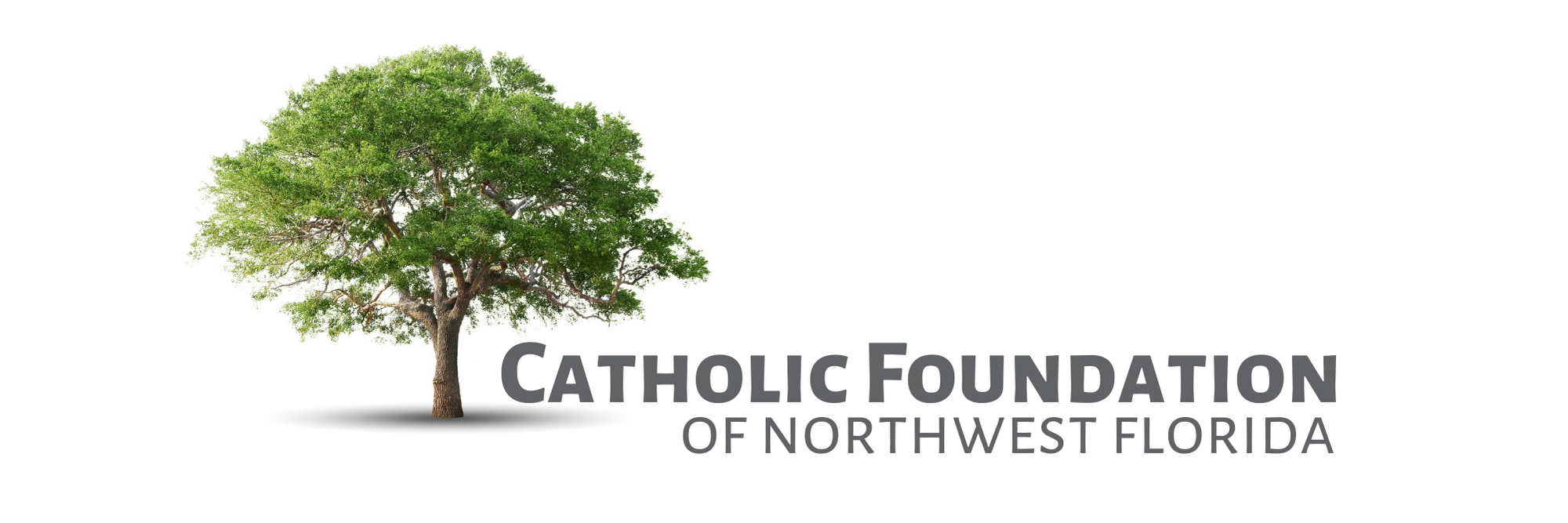 Catholic Foundation logo