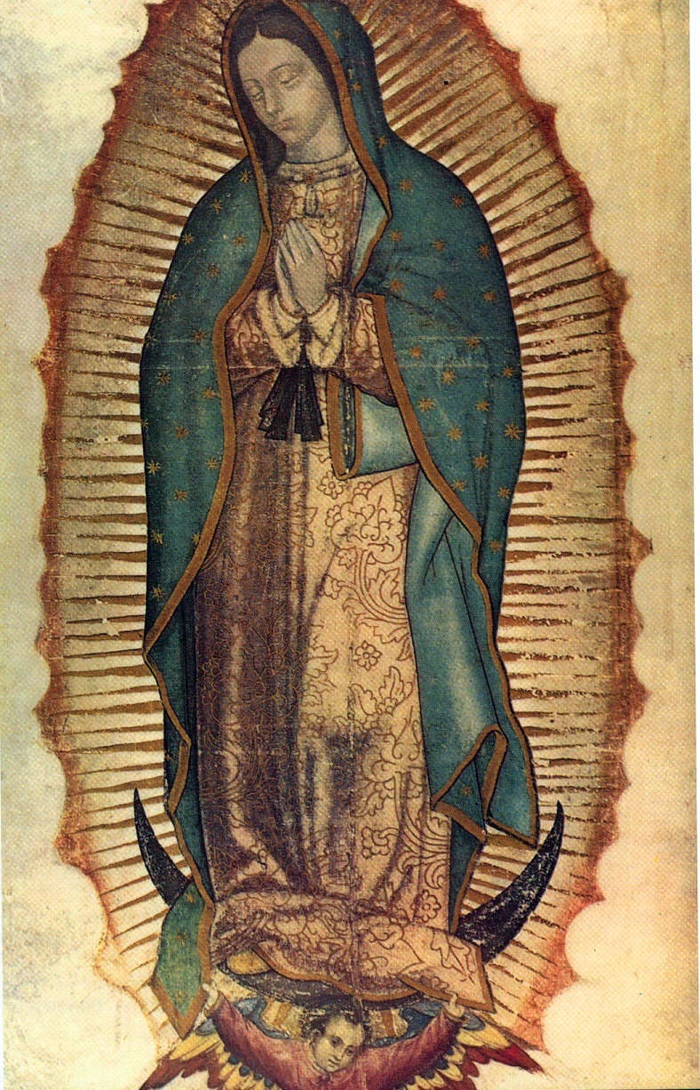 Nuestra Señora de Guadalupe, ruega por nosotros!