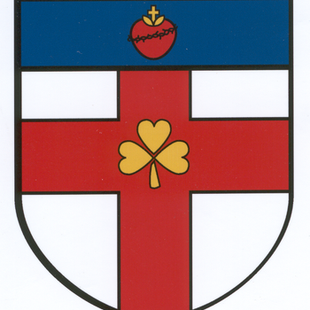 Diocesan Campaign Goal