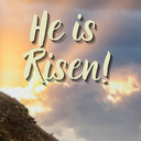 He saw and believed’