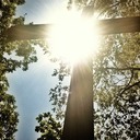 Cemetery mowing begins