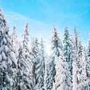 Reminder: Inclement Weather Policy