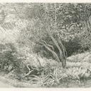 Paintings and Drawings by Laurin Notheisen on Display at Archabbey