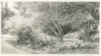 Paintings and Drawings by Laurin Notheisen on Display at Archabbey