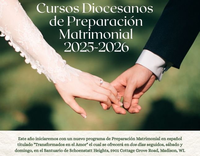 Curso Diocesanos de Preparación Matrimonial