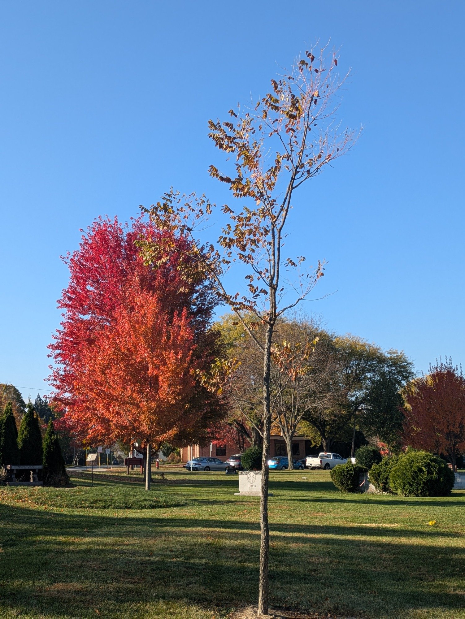 Thank you John and Jean!